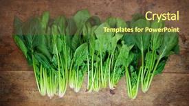  Presentation with spinach - PPT layouts having fresh harvested spinach background and a tawny brown colored foreground