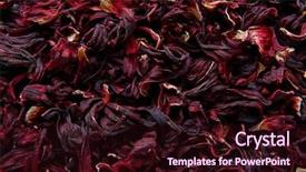  Presentation with beverages - PPT theme consisting of jamaica flower for herbal iced tea from hibiscus mexican beverages background and a wine colored foreground