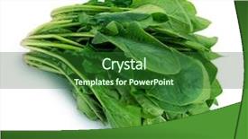  Presentation with spinach - Presentation design enhanced with spinach isolated on white background and a forest green colored foreground