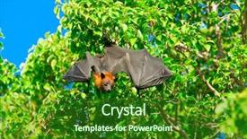  Presentation with branch - Audience pleasing PPT theme consisting of batman - bat hanging on a tree backdrop and a forest green colored foreground
