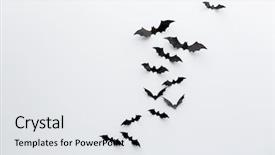  Presentation with black paper - Slide deck consisting of bats flying over white background background and a light gray colored foreground