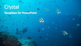  Presentation with deep ocean - Colorful presentation design enhanced with bats wildlife - flock of bat fish floating backdrop and a teal colored foreground