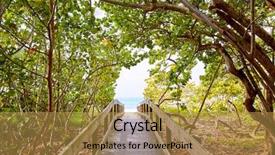  Presentation with florida beach - Beautiful PPT theme featuring bay barefoot beach walk way backdrop and a gold colored foreground