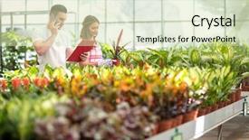  Presentation with german shepherd two young puppys - Colorful PPT theme enhanced with bay decoration - two young florists check order backdrop and a  colored foreground