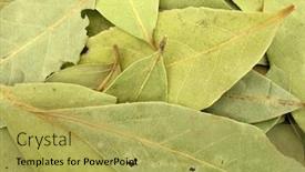  Presentation with medical marijuana leaves - PPT layouts featuring bay-laurel-leaves background and a yellow colored foreground