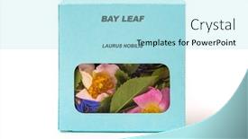  Presentation with herbs - Presentation consisting of bay-leaf-medicinal-herbs background and a arctic colored foreground