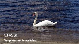  Presentation with opera - Audience pleasing PPT theme consisting of bay near oslo opera backdrop and a gray colored foreground
