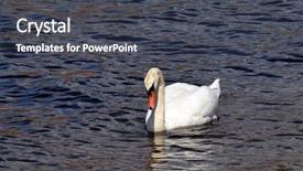  Presentation with opera - PPT theme enhanced with bay near oslo opera background and a dark gray colored foreground