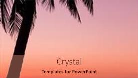  Presentation with skies - Amazing presentation design having bay view burning skies backdrop and a coral colored foreground