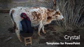  Presentation with mongolia - 