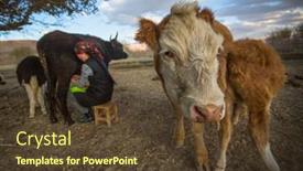  Presentation with mongolia - 