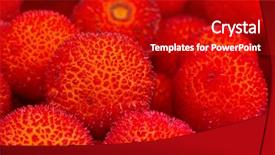  Presentation with guava fruits fresh green fruit - PPT layouts consisting of bayberry - background of red fruits background and a  colored foreground