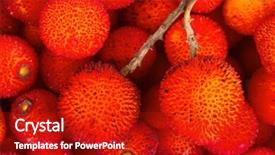  Presentation with guava fruits fresh green fruit - Cool new slides with bayberry - background of red fruits backdrop and a  colored foreground