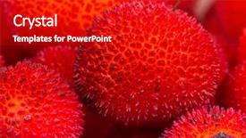  Presentation with guava fruits fresh green fruit - Slide deck featuring bayberry - background of red fruits background and a  colored foreground