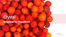  Presentation with fruits - Colorful PPT layouts enhanced with bayberry - background of red fruits backdrop and a  colored foreground