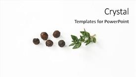  Presentation with thyme - Amazing slide deck having bayberry - black peppercorns and fresh thyme backdrop and a  colored foreground