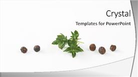  Presentation with thyme - Slide deck with bayberry - black peppercorns and fresh thyme background and a  colored foreground