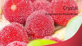  Presentation with co2 increases produce freshness saves fuel - Presentation theme with bayberry - close up of freshness waxberry background and a  colored foreground