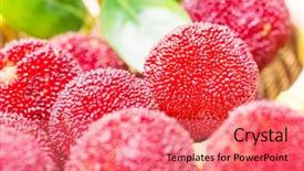  Presentation with co2 increases produce freshness saves fuel - Presentation having bayberry - close up of freshness waxberry background and a  colored foreground
