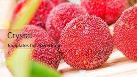  Presentation with co2 increases produce freshness saves fuel - Cool new presentation with bayberry - close up of freshness waxberry backdrop and a  colored foreground