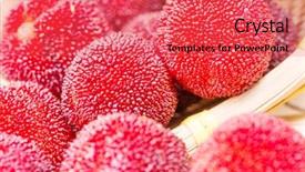  Presentation with co2 increases produce freshness saves fuel - Beautiful presentation theme featuring bayberry - close up of freshness waxberry backdrop and a  colored foreground