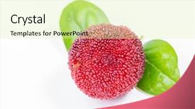  Presentation with co2 increases produce freshness saves fuel - PPT theme with bayberry - close up of freshness waxberry background and a  colored foreground
