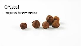  Presentation with allspice - Colorful slide deck enhanced with bayberry - fingerfull of allspice berries backdrop and a  colored foreground