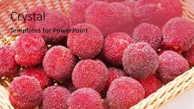  Presentation with red and white - Cool new slide set with bayberry - red and ripe waxberry backdrop and a  colored foreground
