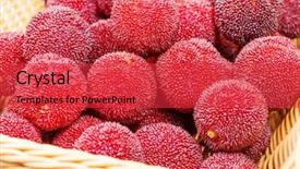  Presentation with lines red and white - Colorful PPT layouts enhanced with bayberry - red and ripe waxberry backdrop and a  colored foreground