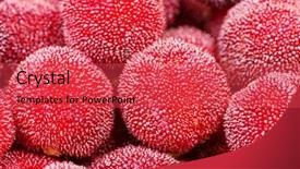  Presentation with red white blue patriotic - Audience pleasing theme consisting of bayberry - red and ripe waxberry backdrop and a  colored foreground