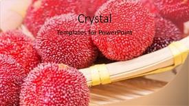  Presentation with currant black white and red - Slide deck having bayberry - red and ripe waxberry background and a  colored foreground