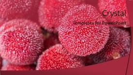  Presentation with red and white industry - Slide set featuring bayberry - red and ripe waxberry background and a  colored foreground