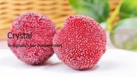  Presentation with red and white - Amazing presentation design having bayberry - red and ripe waxberry backdrop and a  colored foreground