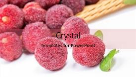  Presentation with meeting red white blue - Presentation design with bayberry - red and ripe waxberry background and a  colored foreground
