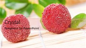  Presentation with red and white abstract - Slide deck having bayberry - red and ripe waxberry background and a  colored foreground