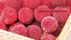  Presentation with currant black white and red - Slide deck with bayberry - red and ripe waxberry background and a  colored foreground