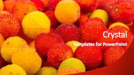  Presentation with fruits - Audience pleasing theme consisting of bayberry - yellow and red fruits backdrop and a  colored foreground
