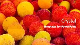  Presentation with blue red and yellow - Audience pleasing slides consisting of bayberry - yellow and red fruits backdrop and a  colored foreground