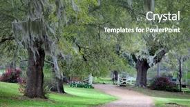  Presentation with scene - Amazing presentation design having bayou - lush green scene backdrop and a tawny brown colored foreground