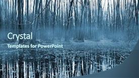  Presentation with forest patches - Presentation design enhanced with bayou - misty forest om bog background and a ocean colored foreground