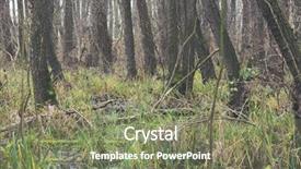  Presentation with mystic - Amazing presentation design having bayou - mystic foggy swamp with dead backdrop and a violet colored foreground