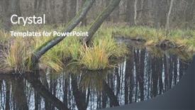  Presentation with mystic - Slide deck featuring bayou - mystic foggy swamp with dead background and a gray colored foreground