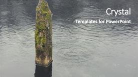  Presentation with mystic - PPT theme featuring bayou - mystic foggy swamp with dead background and a gray colored foreground