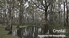  Presentation with swamp - PPT layouts featuring bayou - swamp near new orleans louisiana background and a dark gray colored foreground