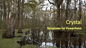  Presentation with swamp - Cool new slides with bayou - swamp near new orleans louisiana backdrop and a tawny brown colored foreground