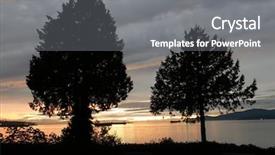  Presentation with vancouver - Amazing presentation design having bc - night scene at stanley park backdrop and a gray colored foreground