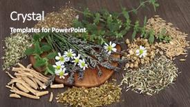  Presentation with oak - PPT layouts with bd - herb selection used in herbal background and a tawny brown colored foreground