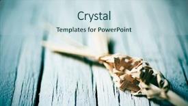  Presentation with palm sunday - PPT layouts consisting of be blessed on palm sunday background and a sky blue colored foreground