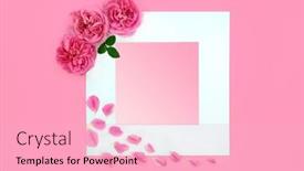  Presentation with valentine wedding border - Slide set enhanced with be-my-valentine-rose-flower background and a lemonade colored foreground