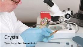  Presentation with forensic analysis - Slides enhanced with be used in a court background and a light blue colored foreground